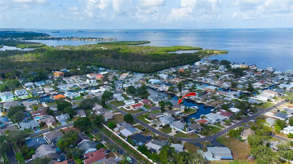 318 Circle Drive Palm Harbor FL 34683