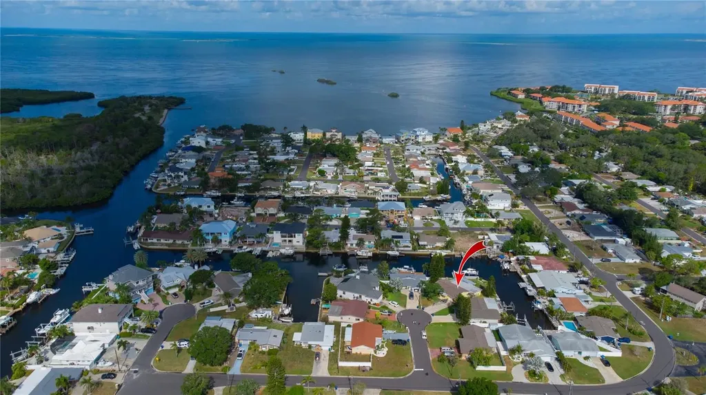 318 Circle Drive Palm Harbor FL 34683
