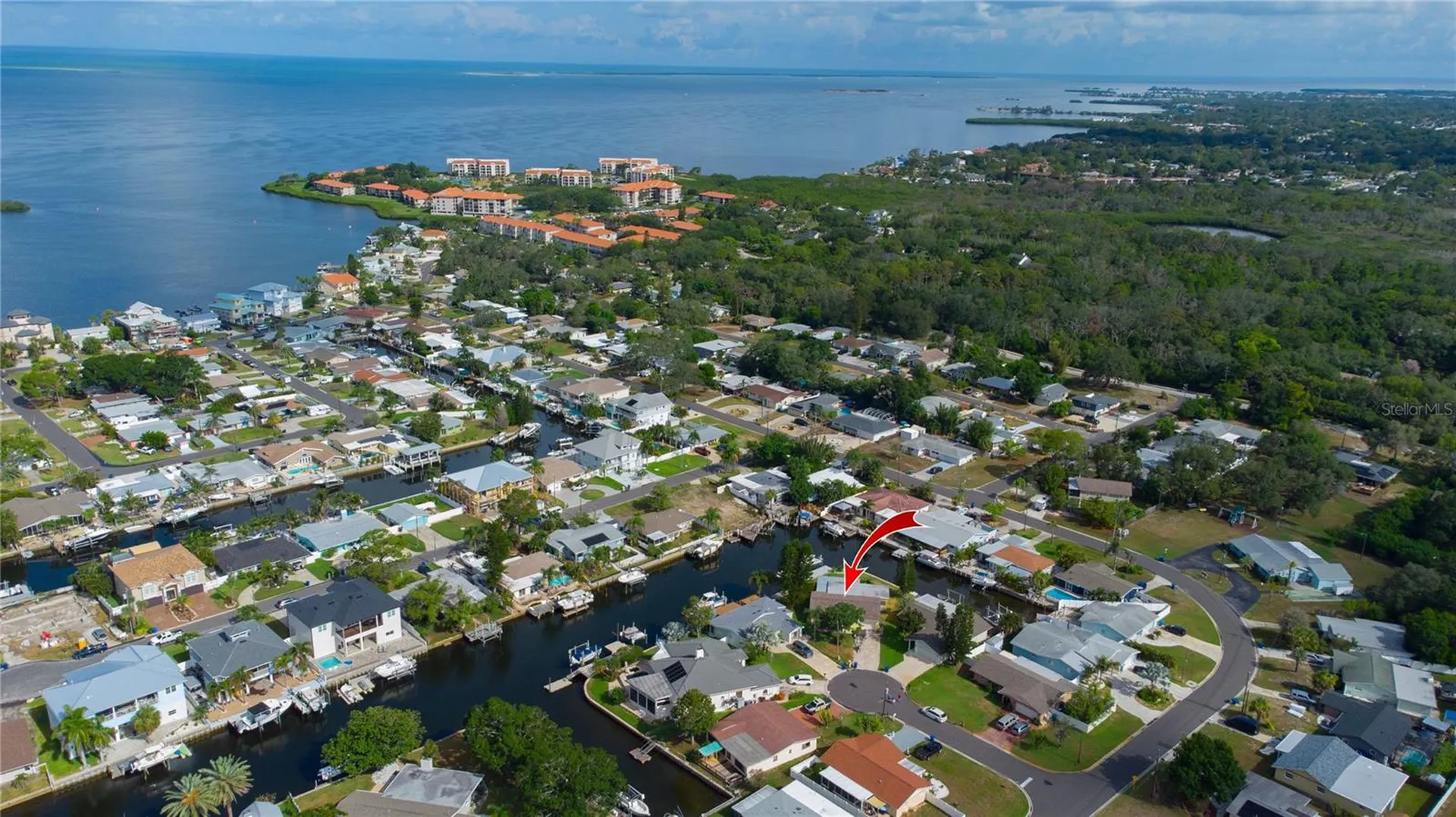 318 Circle Drive Palm Harbor FL 34683