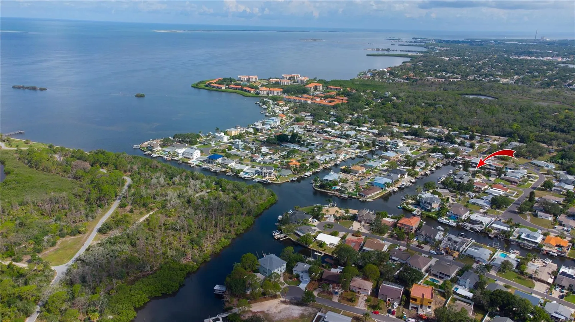 318 Circle Drive Palm Harbor FL 34683