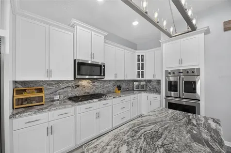 5243 Brighton Shore Drive Apollo Beach FL 33572
