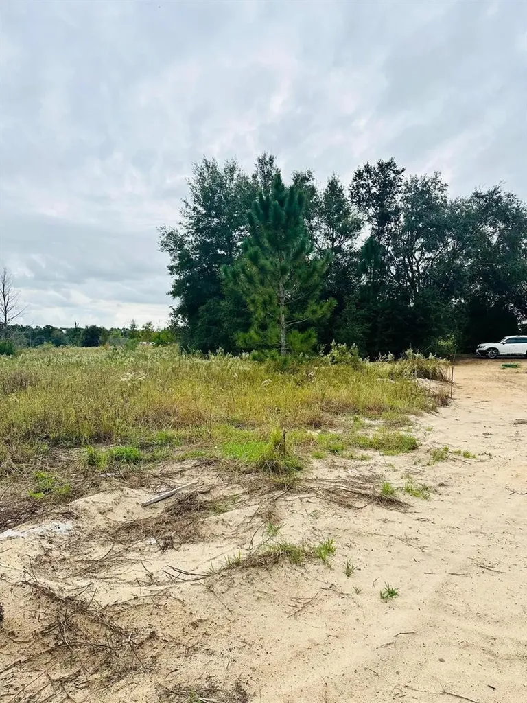 00 SW 28th Place Ocala FL 34481