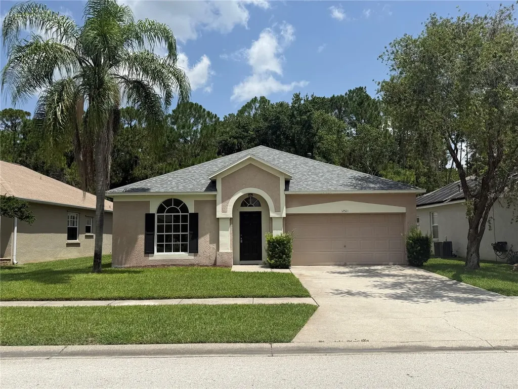12521 Sparkleberry Road Tampa FL 33626