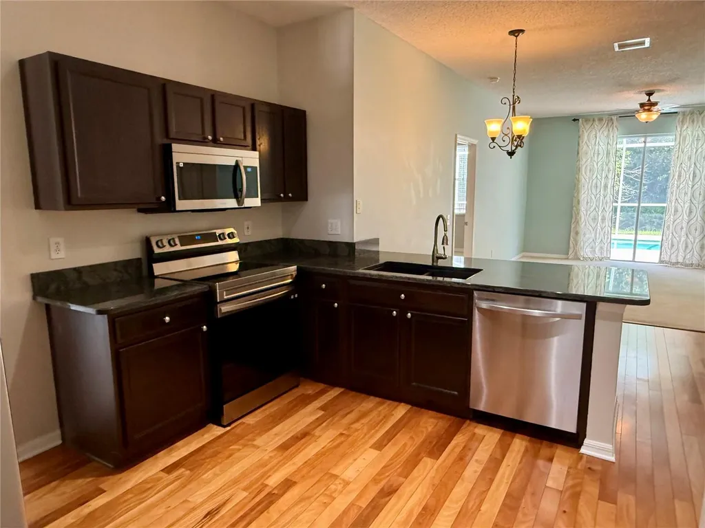 12521 Sparkleberry Road Tampa FL 33626