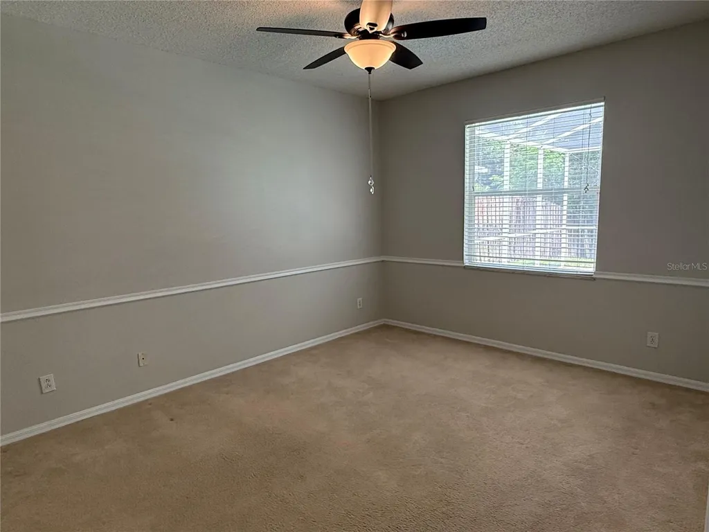 12521 Sparkleberry Road Tampa FL 33626
