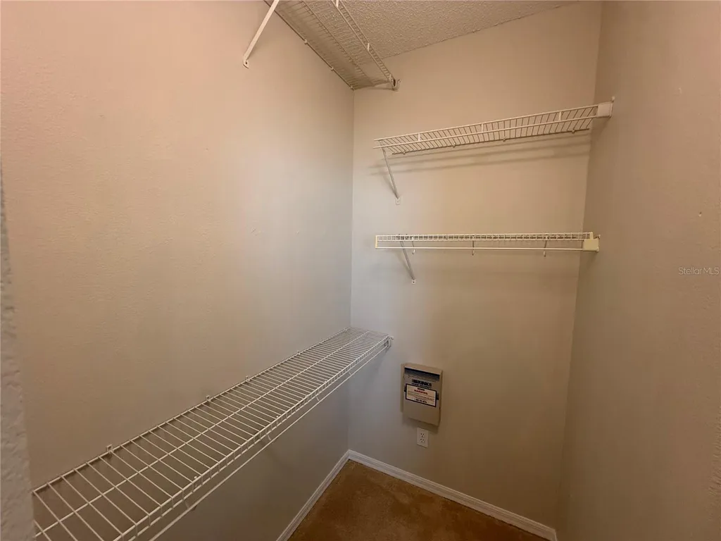 12521 Sparkleberry Road Tampa FL 33626