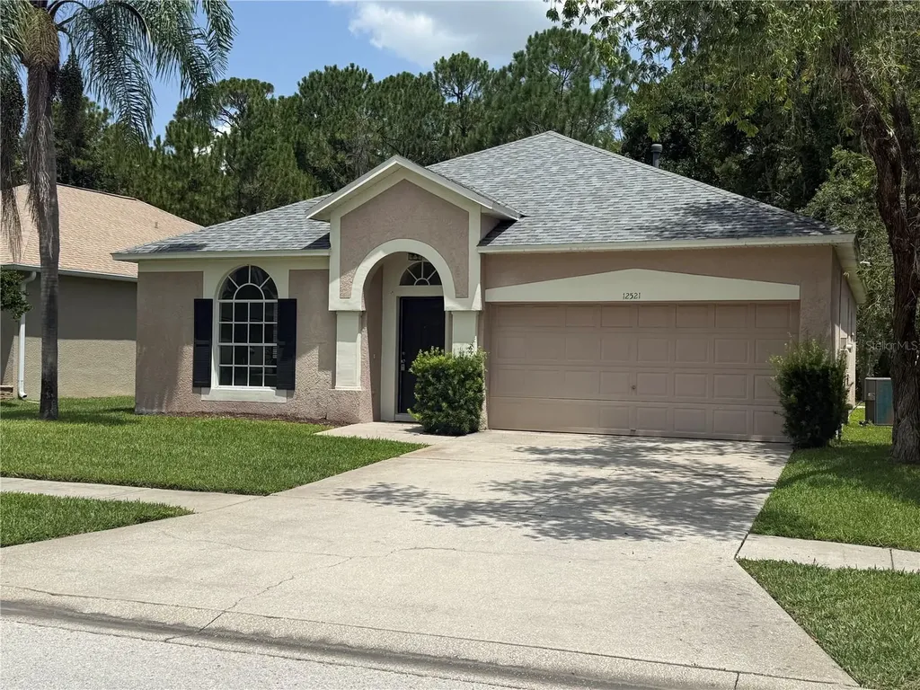 12521 Sparkleberry Road Tampa FL 33626