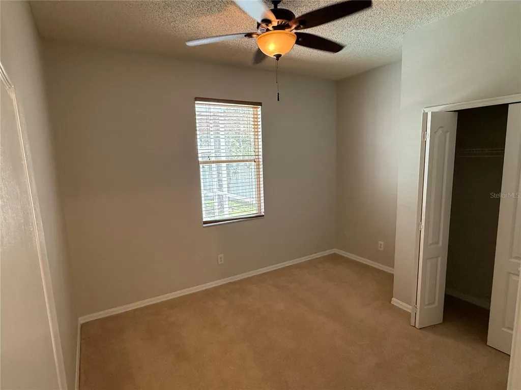 12521 Sparkleberry Road Tampa FL 33626