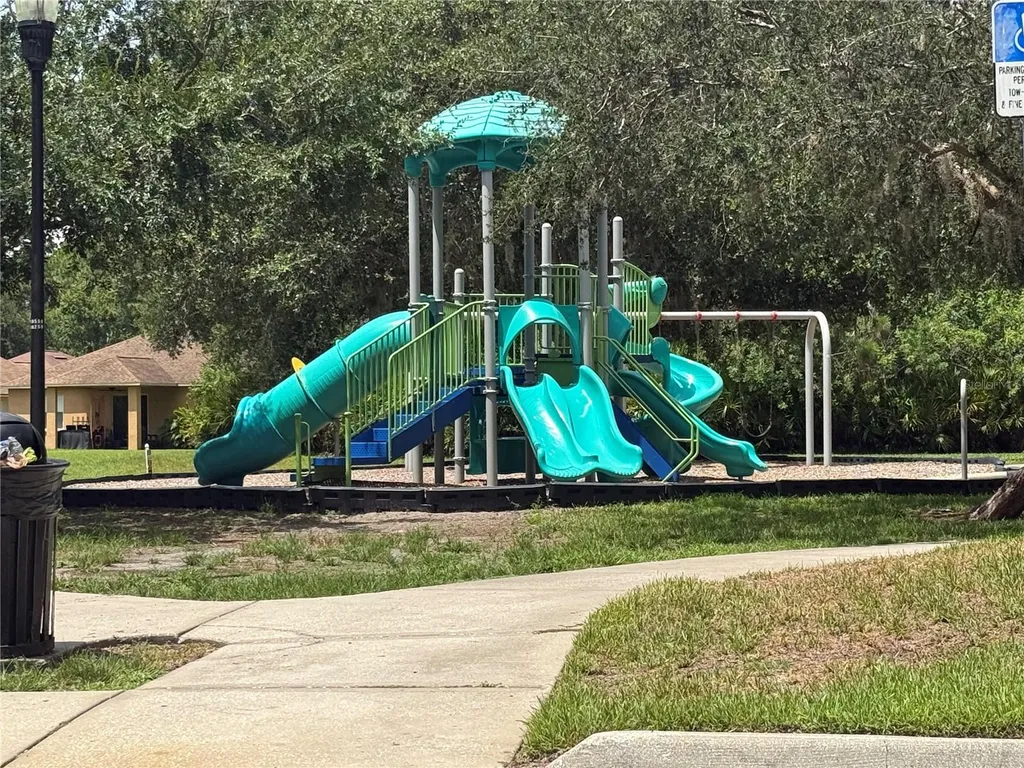 12521 Sparkleberry Road Tampa FL 33626
