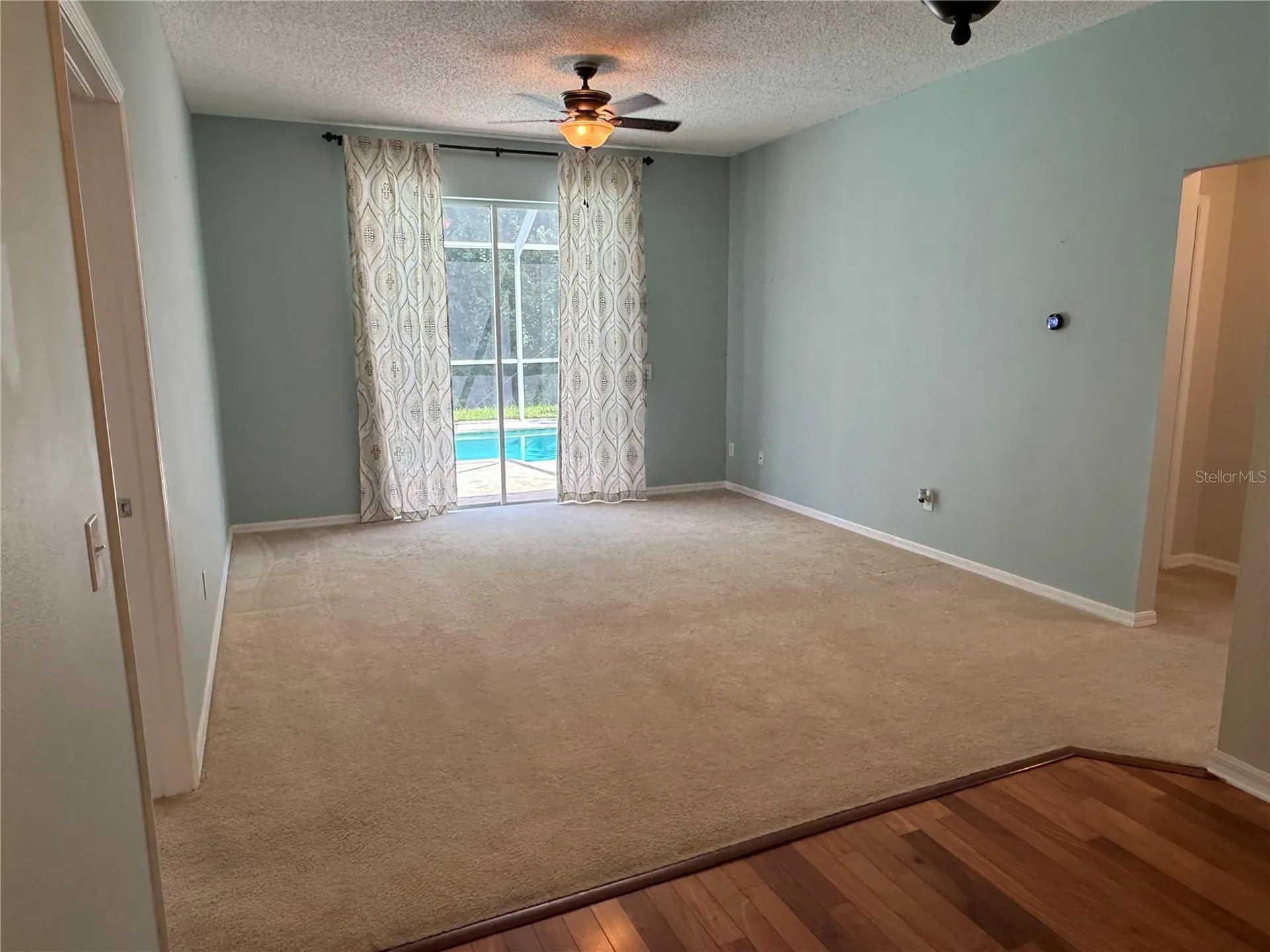 12521 Sparkleberry Road Tampa FL 33626