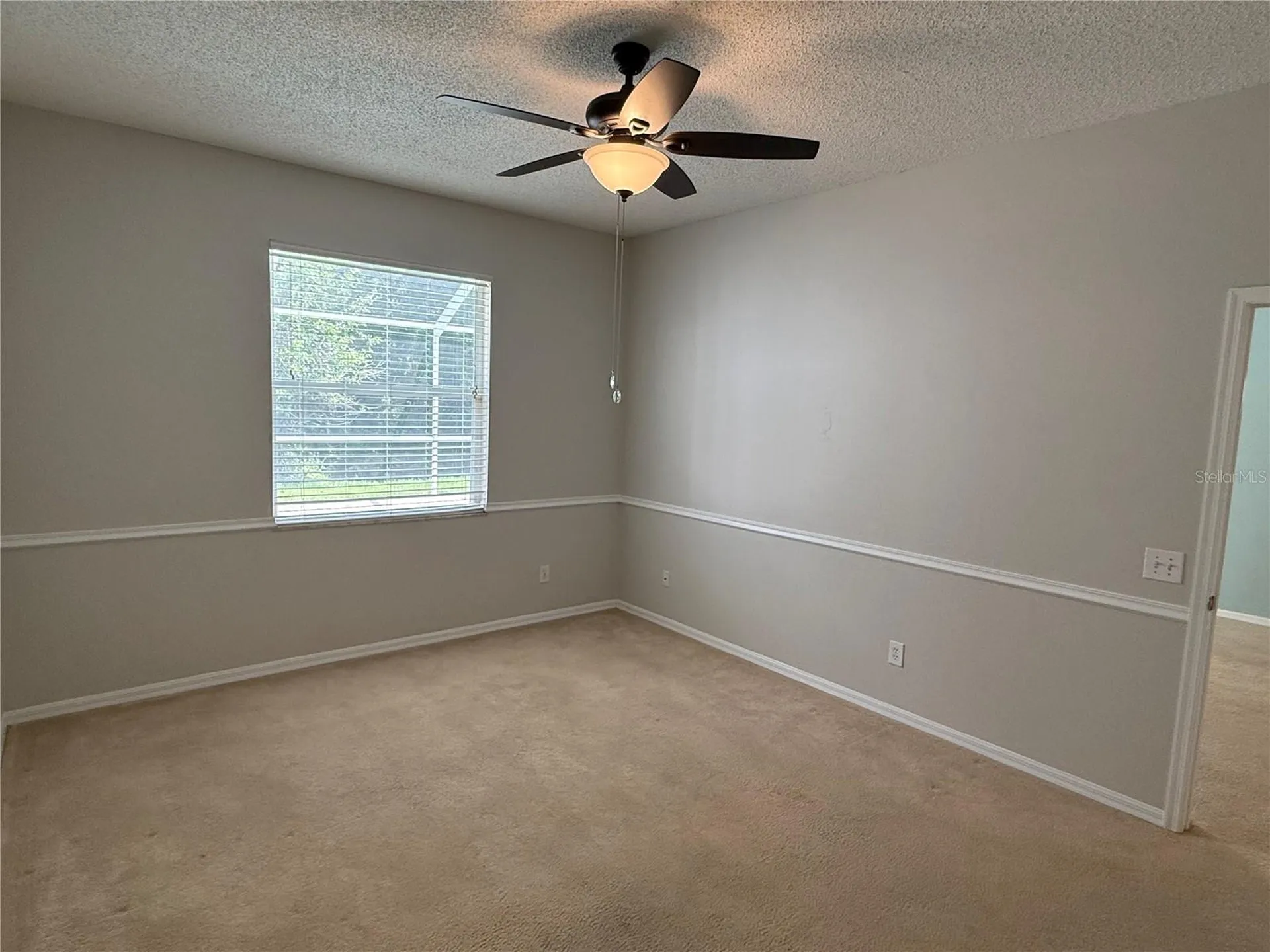 12521 Sparkleberry Road Tampa FL 33626