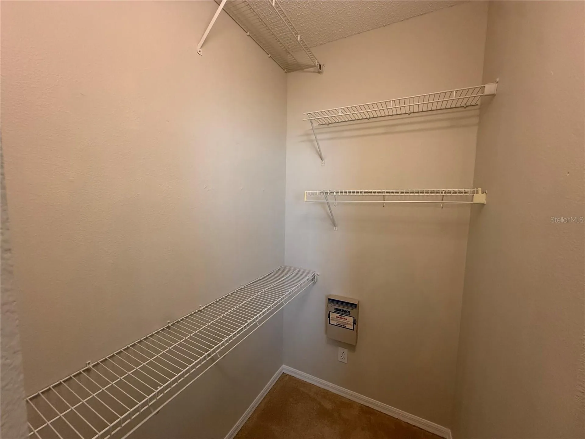 12521 Sparkleberry Road Tampa FL 33626