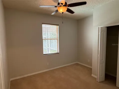 12521 Sparkleberry Road Tampa FL 33626