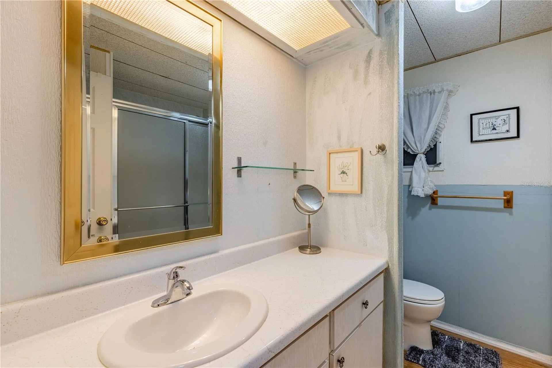 1030 Capella Drive Tavares FL 32778