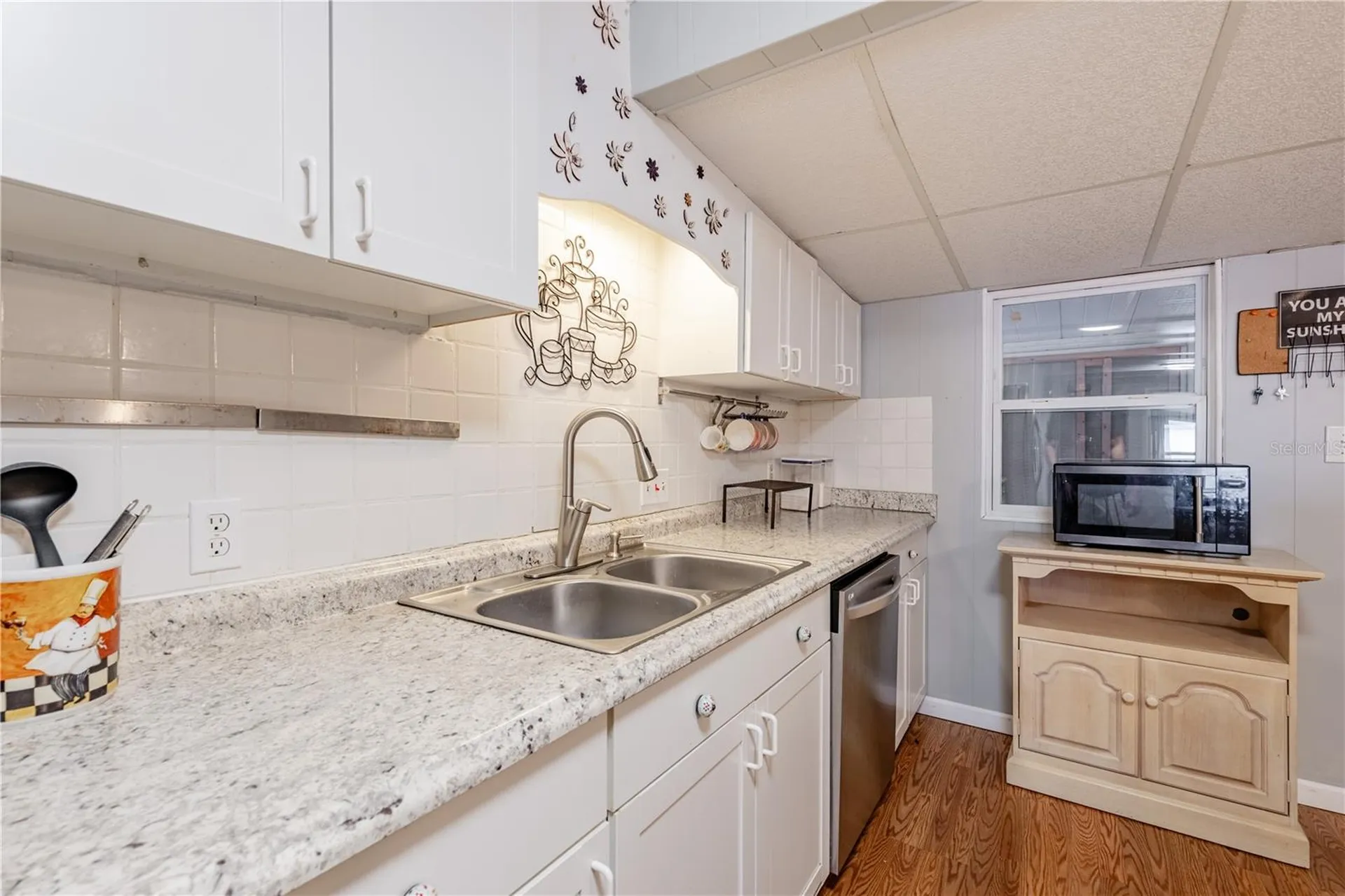 1030 Capella Drive Tavares FL 32778