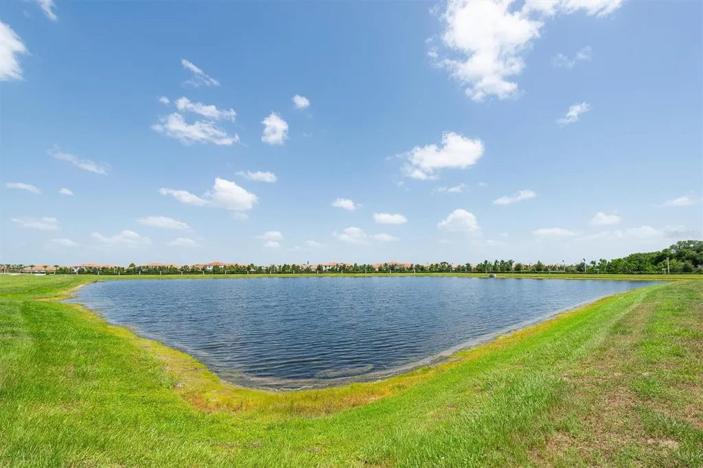 17066 Oval Rum Drive Wimauma FL 33598