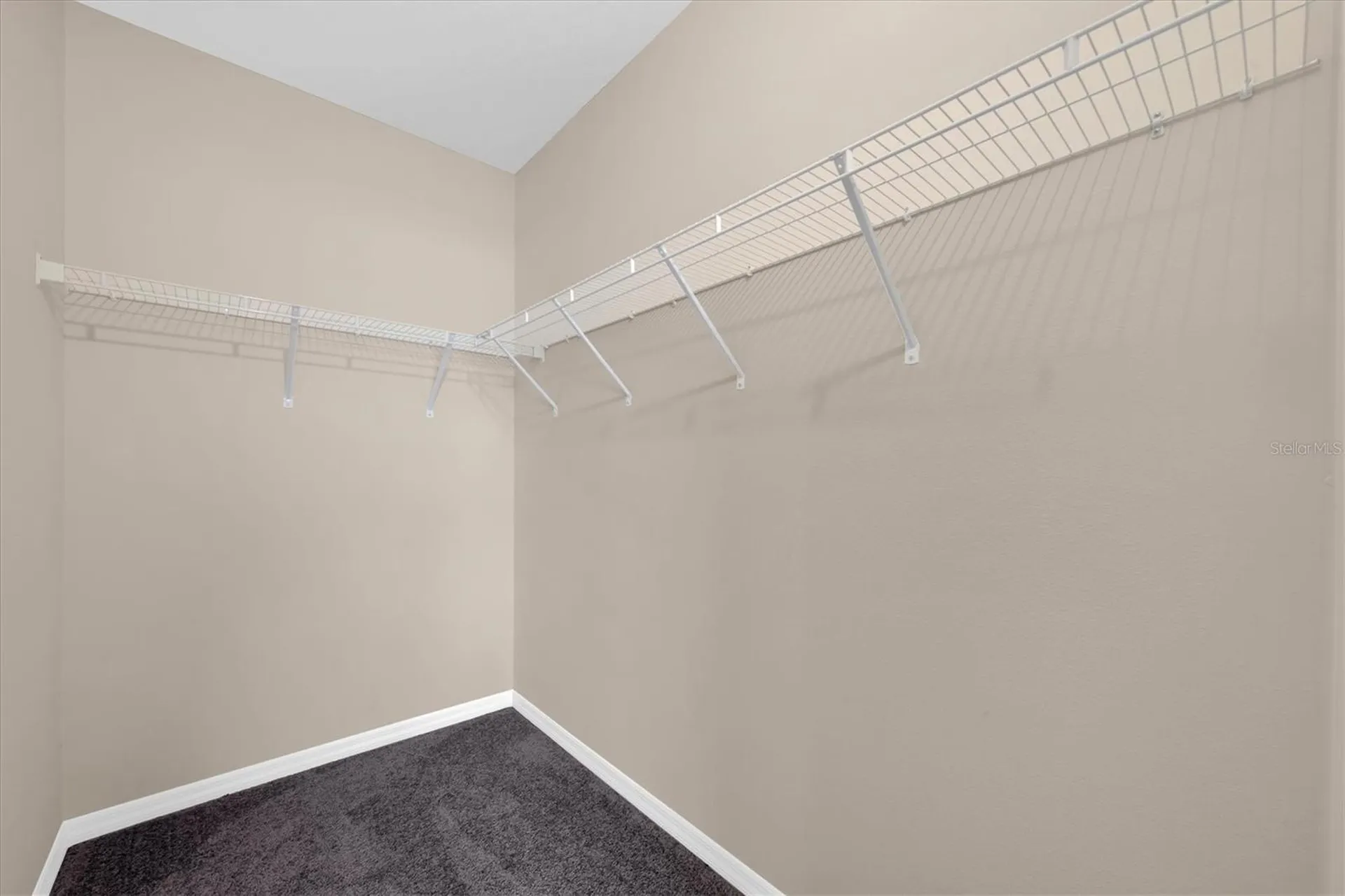 17066 Oval Rum Drive Wimauma FL 33598