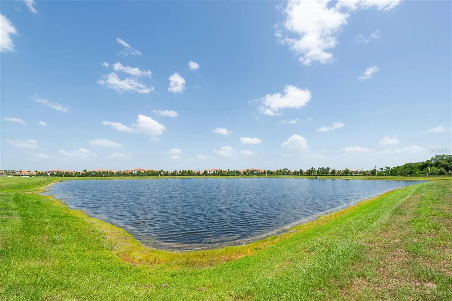 17066 Oval Rum Drive Wimauma FL 33598