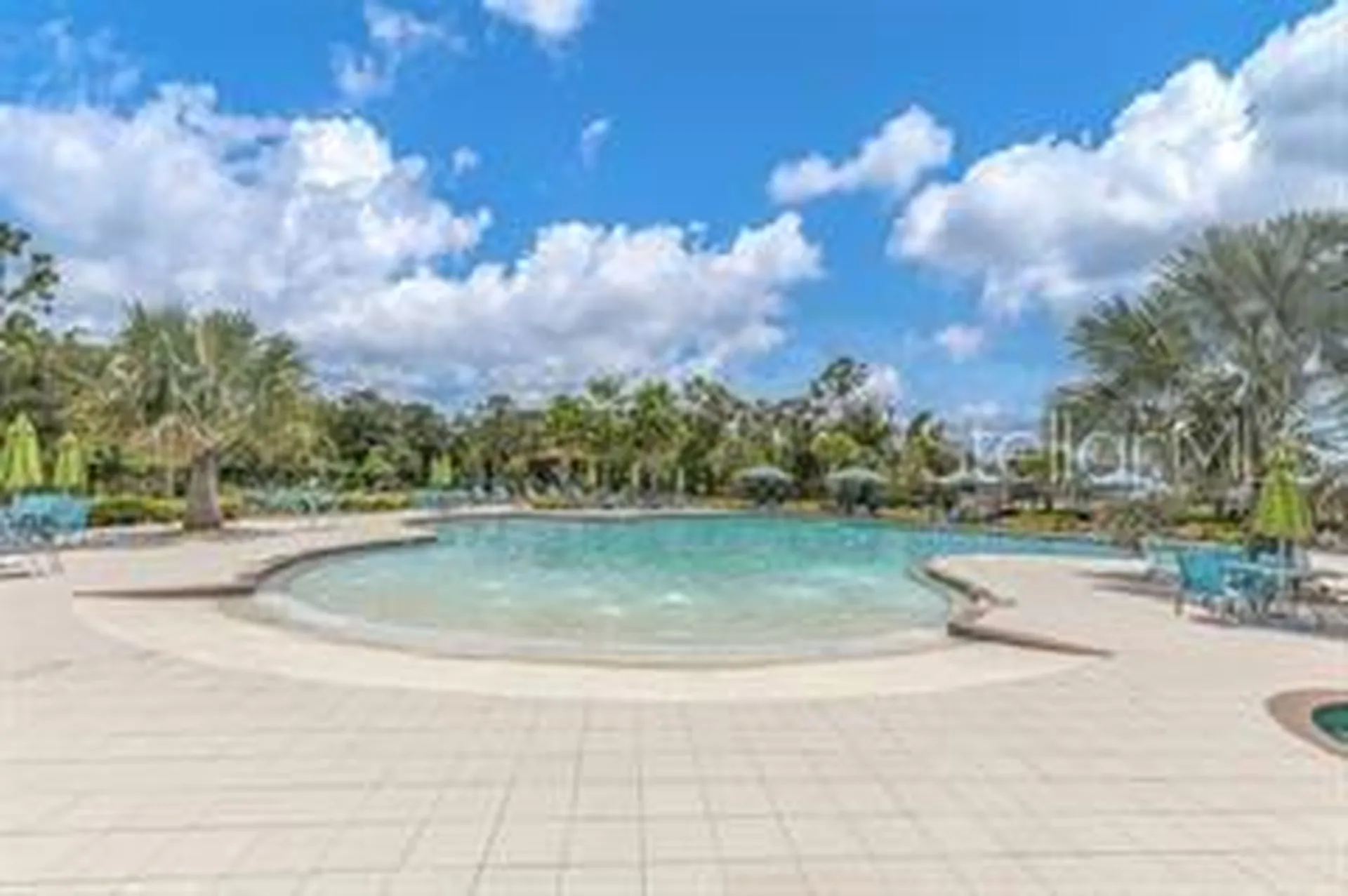 17066 Oval Rum Drive Wimauma FL 33598