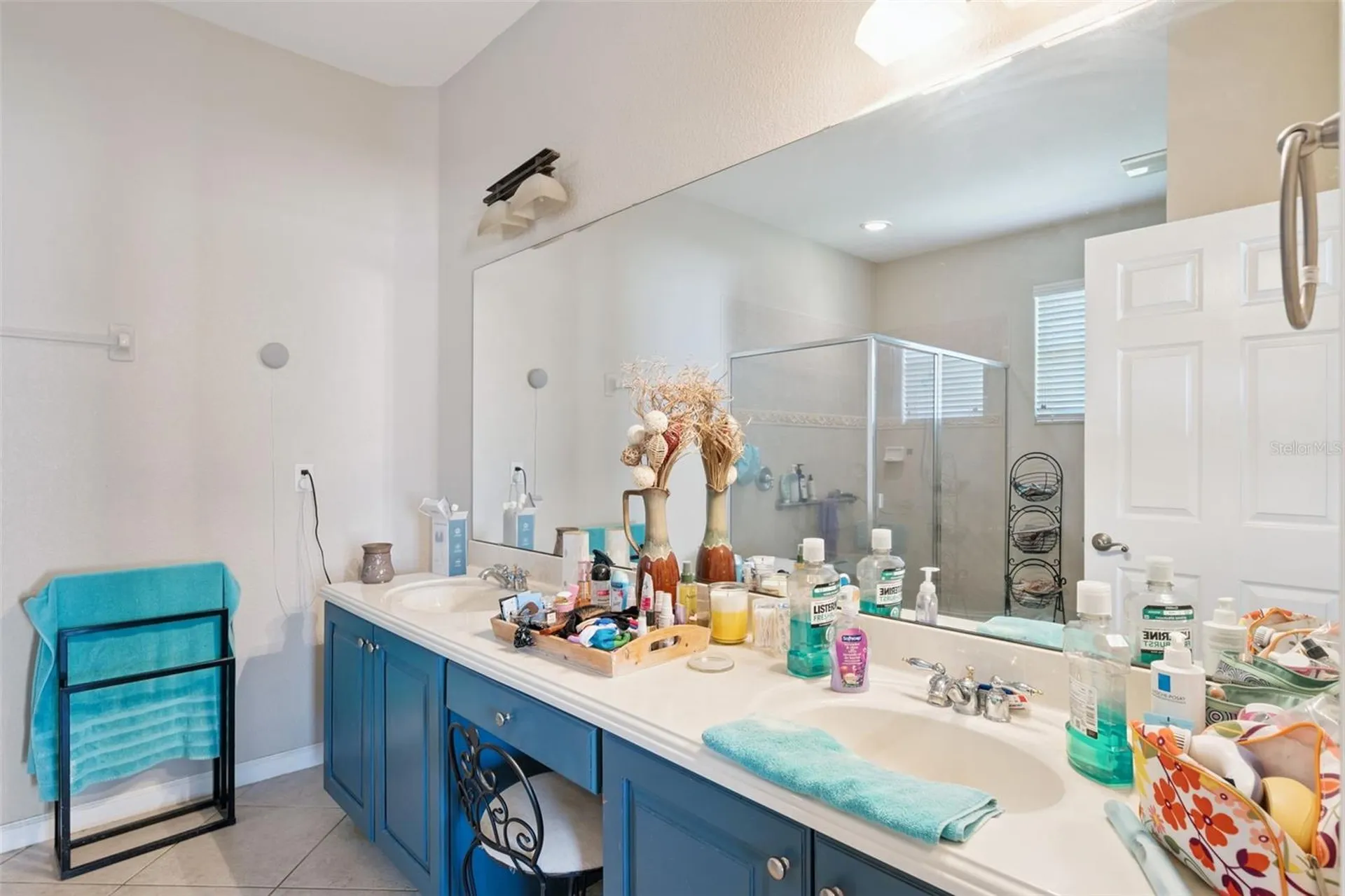 2930 White Cedar Circle Kissimmee FL 34741