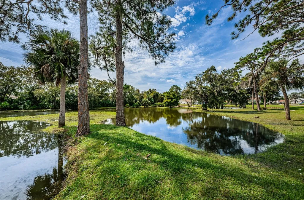 6321 Emerson Drive New Port Richey FL 34653
