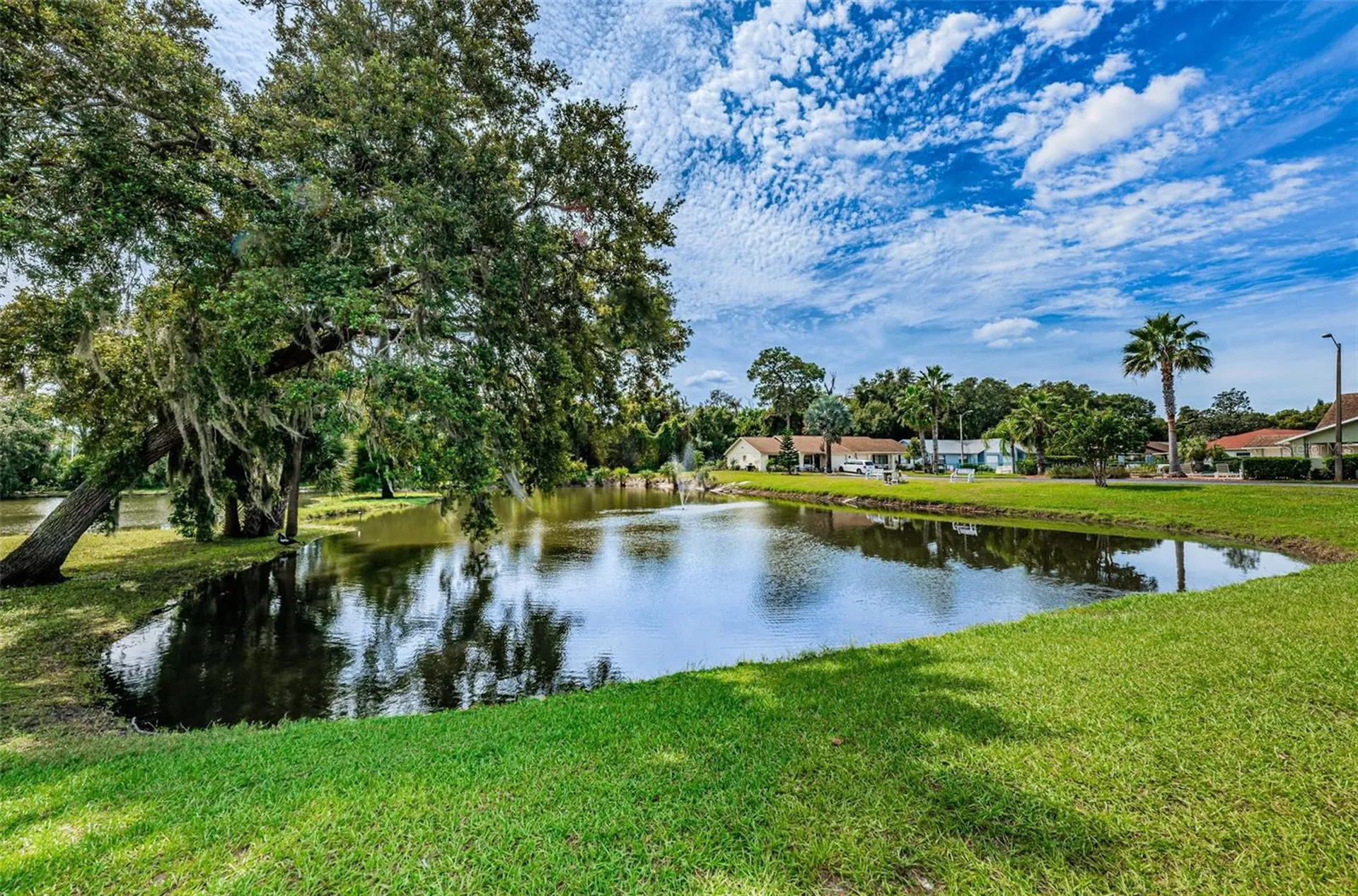 6321 Emerson Drive New Port Richey FL 34653