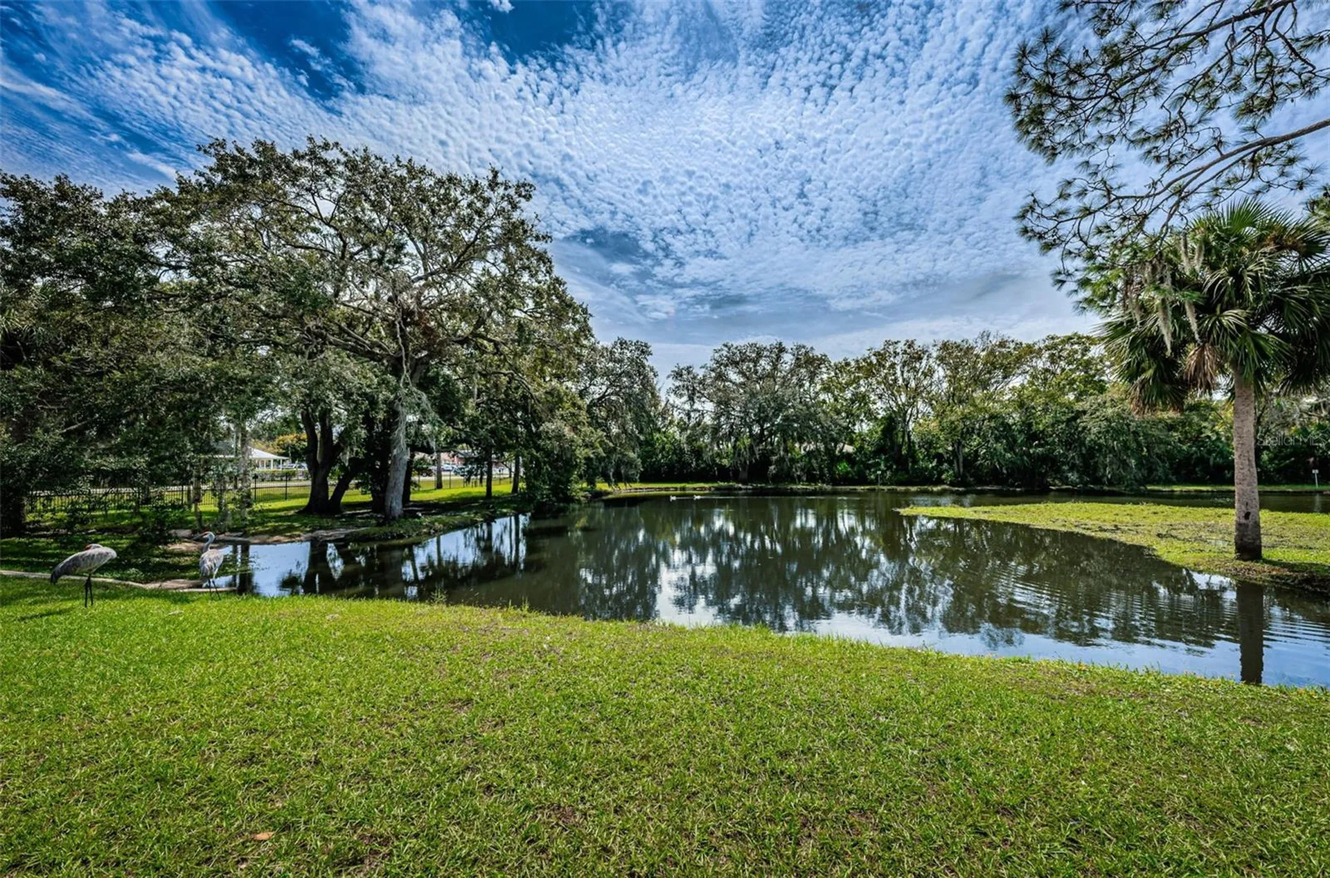 6321 Emerson Drive New Port Richey FL 34653