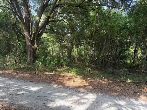 0000 Cr 738 Webster FL 33597