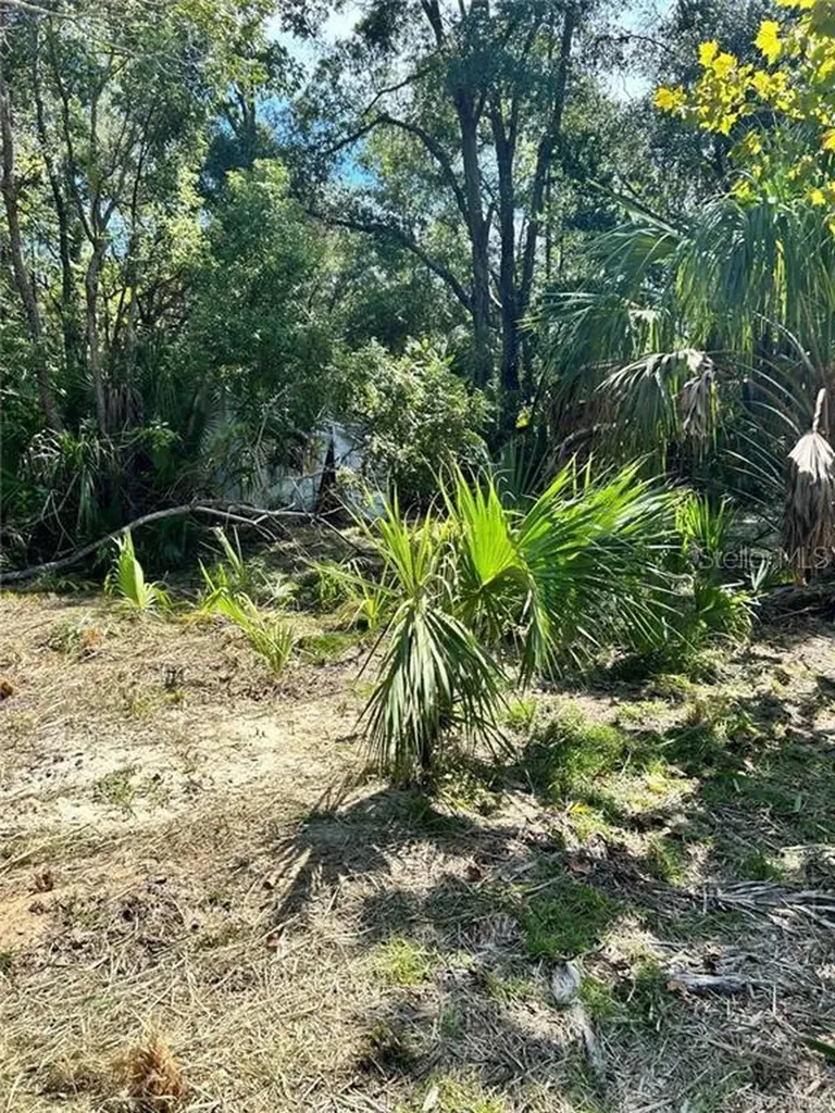 11335 N Ginny Lane Point Inglis FL 34449