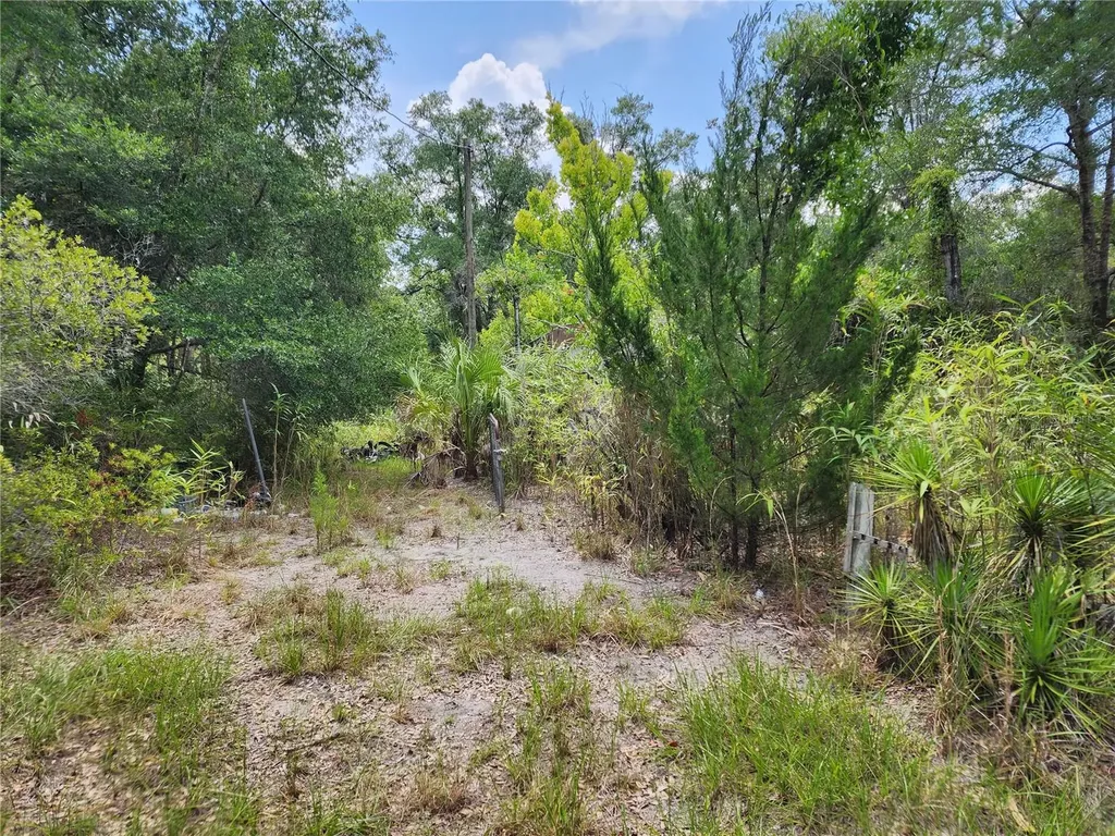 11335 N Ginny Lane Point Inglis FL 34449
