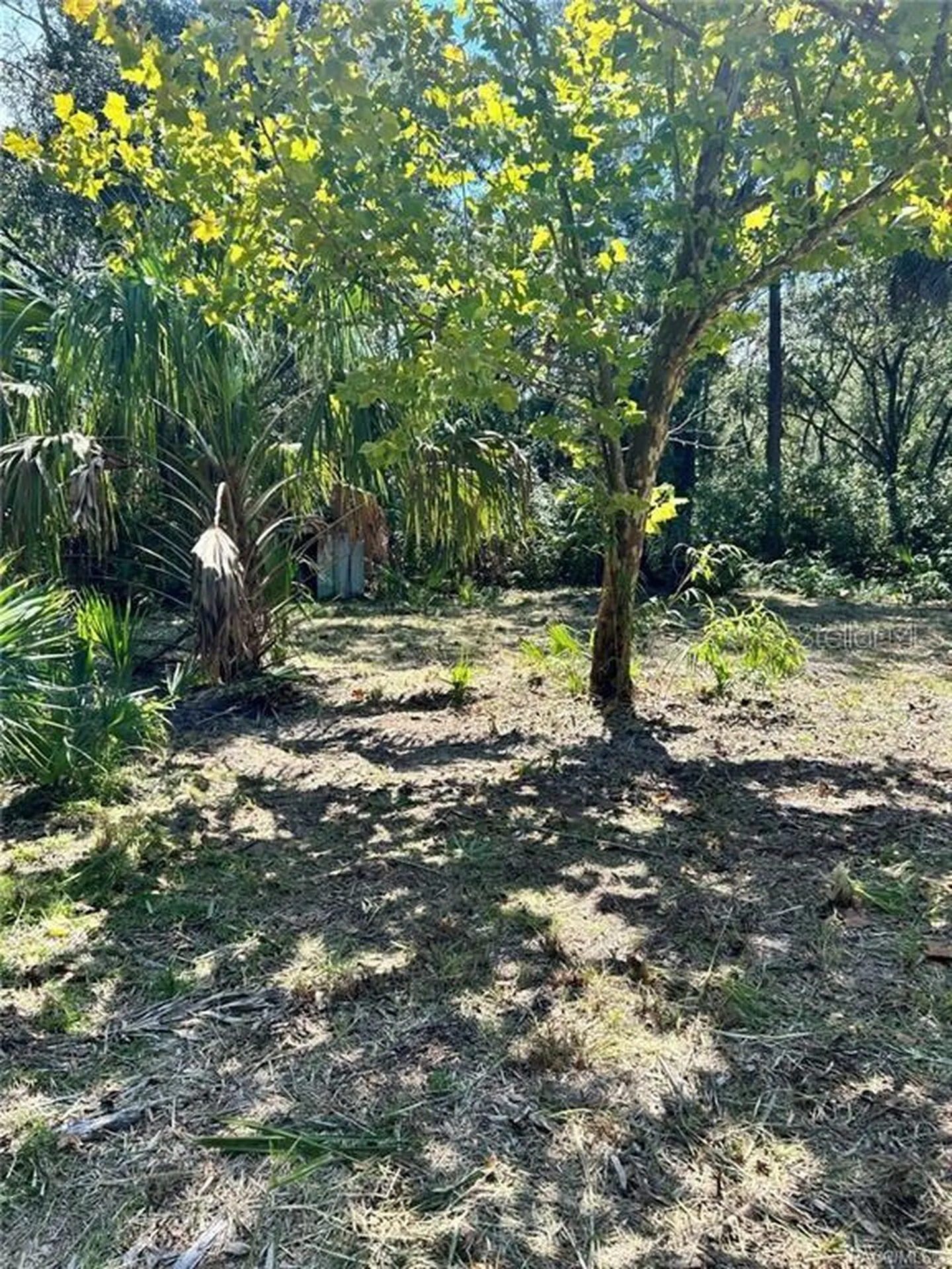 11335 N Ginny Lane Point Inglis FL 34449