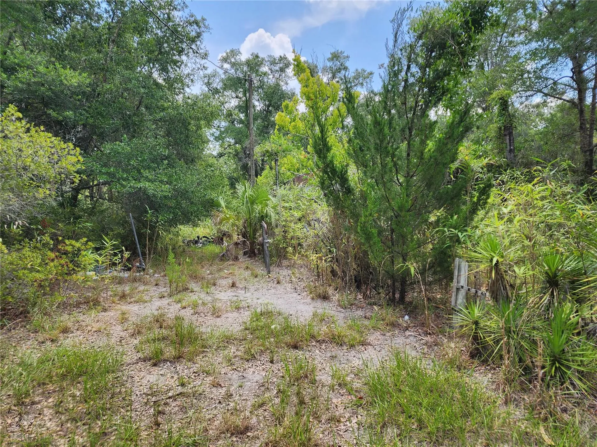 11335 N Ginny Lane Point Inglis FL 34449