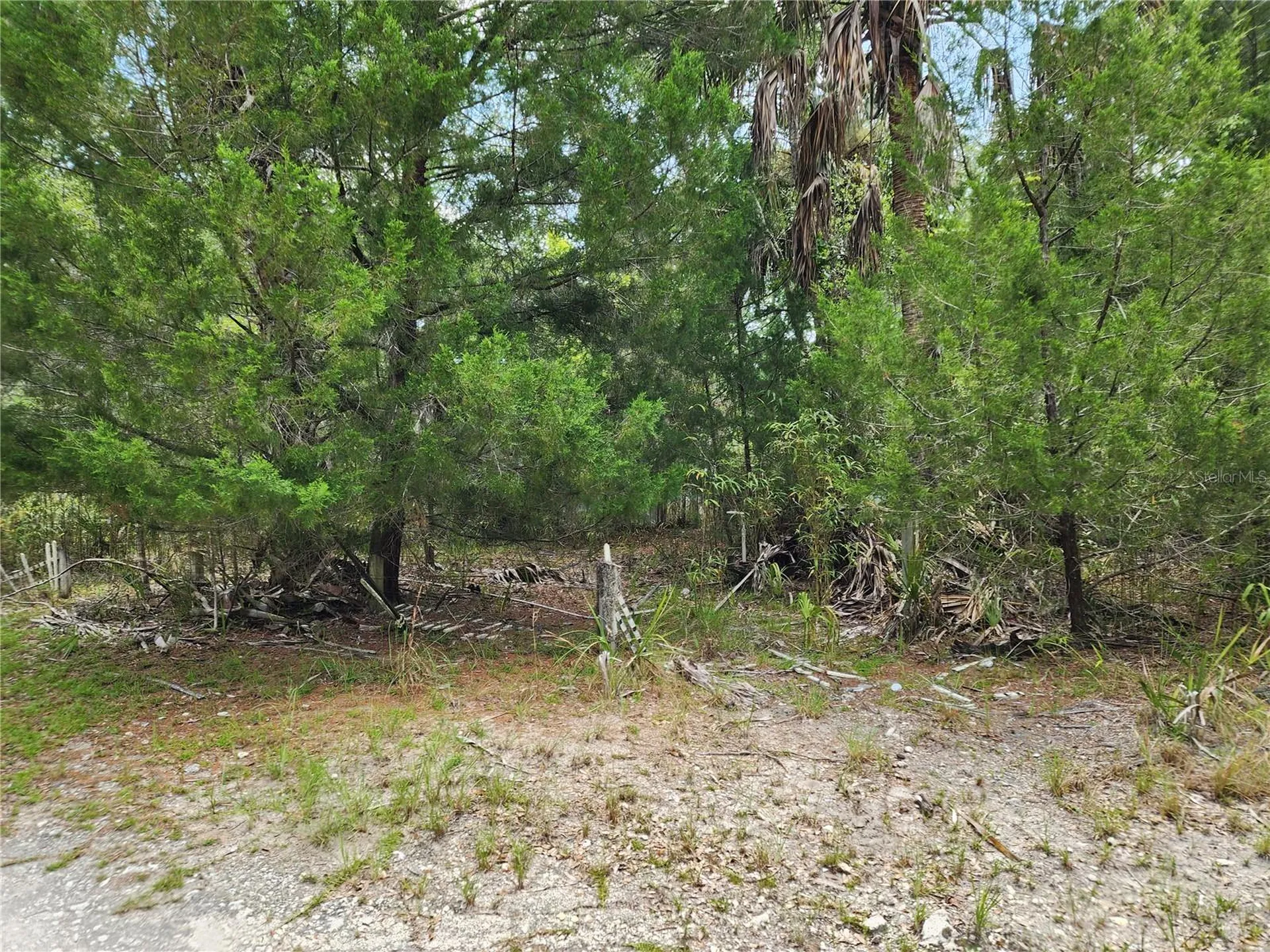 11335 N Ginny Lane Point Inglis FL 34449