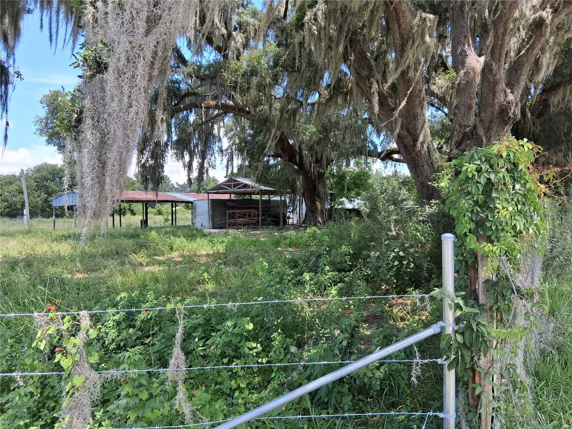 11470 Cr 727 Webster FL 33597