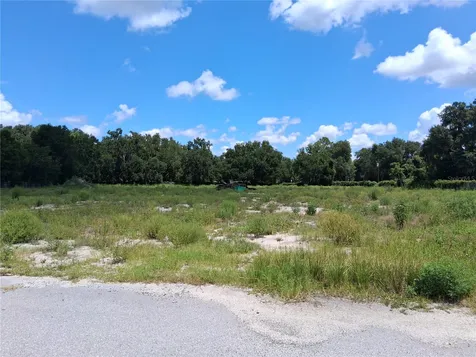 11470 Cr 727 Webster FL 33597