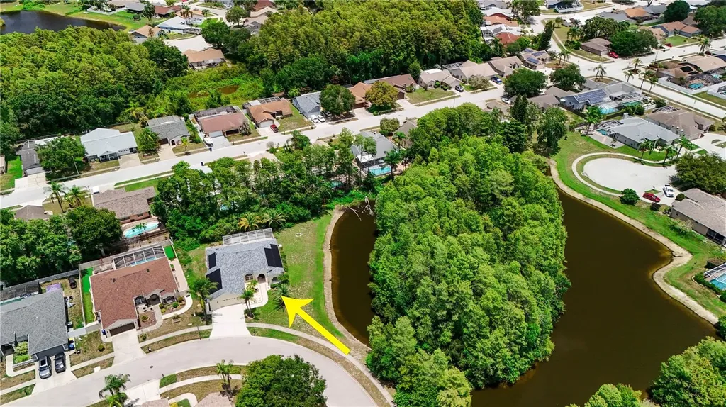 8153 Baytree Drive New Port Richey FL 34653