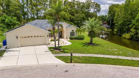 8153 Baytree Drive New Port Richey FL 34653