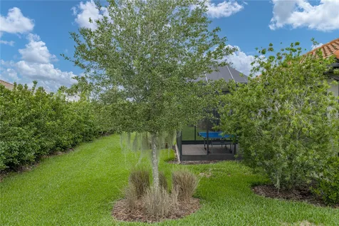 4248 Cairoli Court Wesley Chapel FL 33543