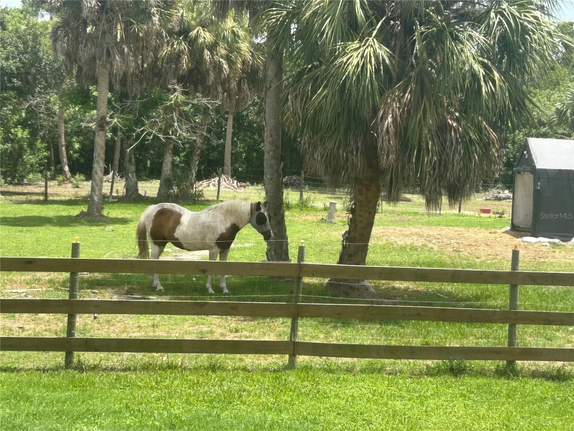 6416 18th Avenue E Bradenton FL 34208