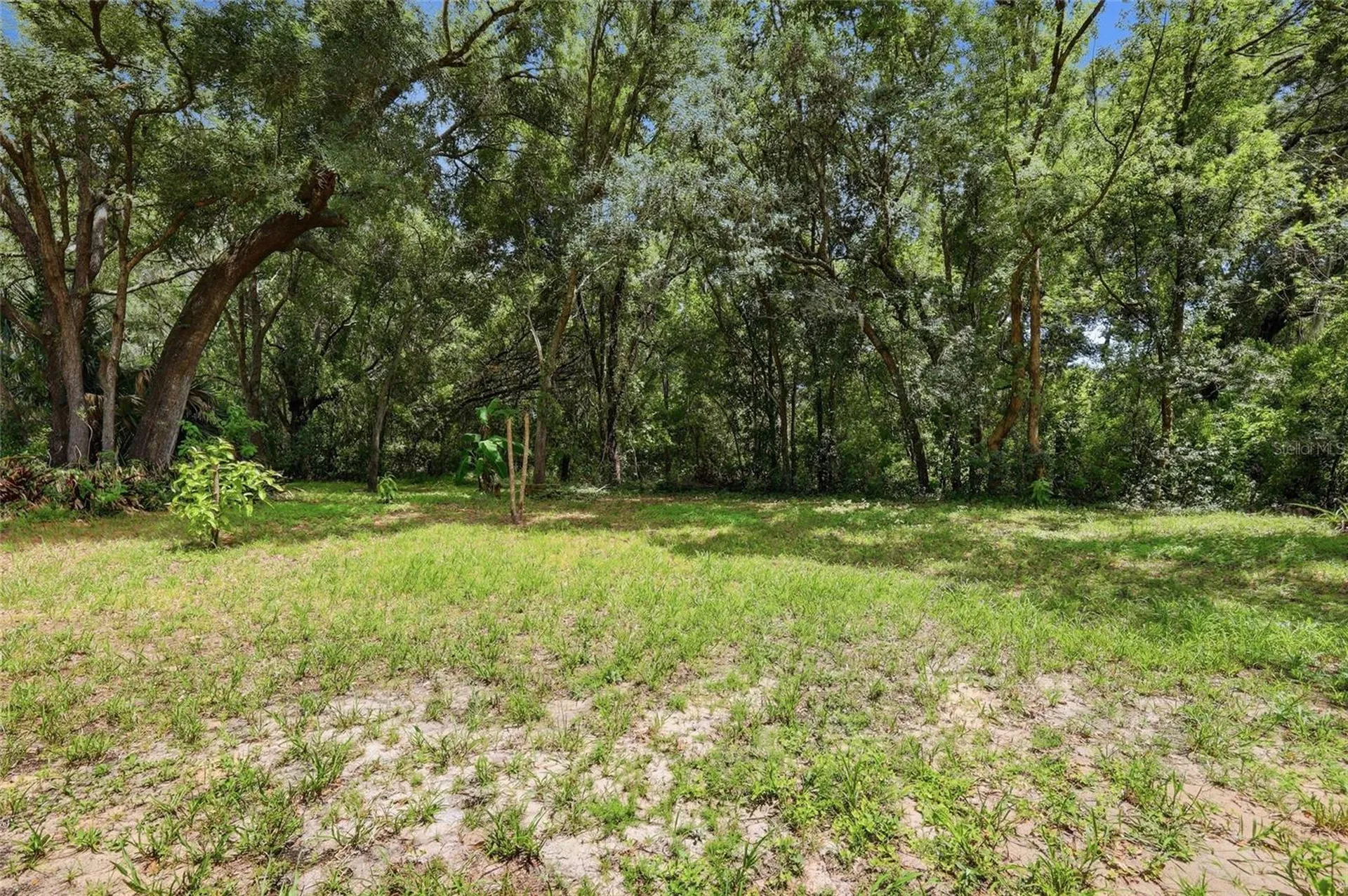 3555 Rolling Hills Lane Apopka FL 32712