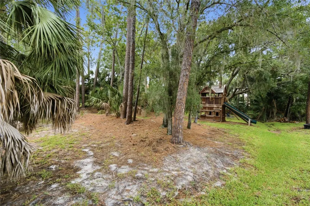 1332 Preservation Way Oldsmar FL 34677
