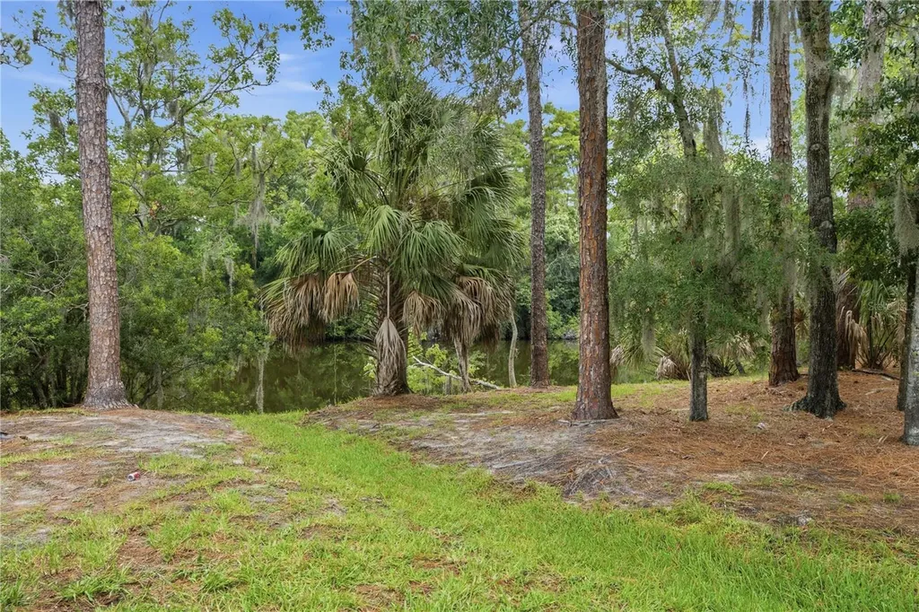 1332 Preservation Way Oldsmar FL 34677