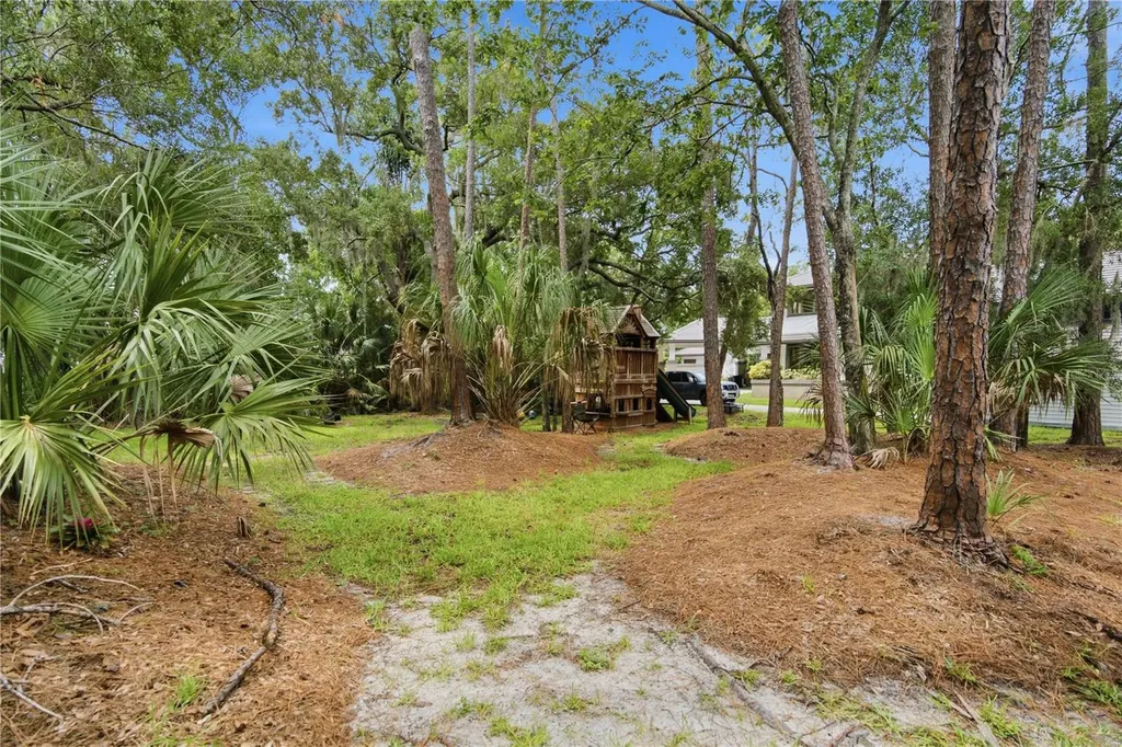 1332 Preservation Way Oldsmar FL 34677