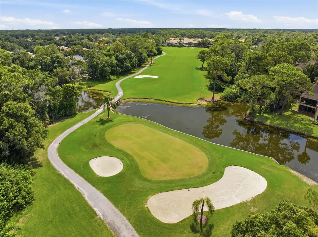 1332 Preservation Way Oldsmar FL 34677