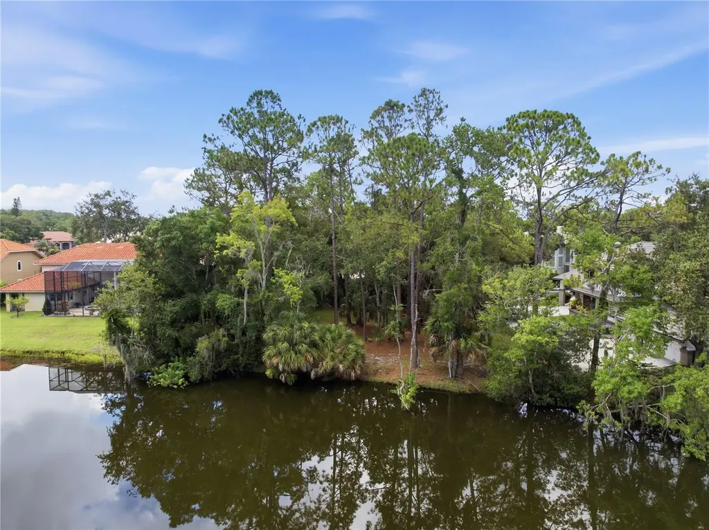 1332 Preservation Way Oldsmar FL 34677