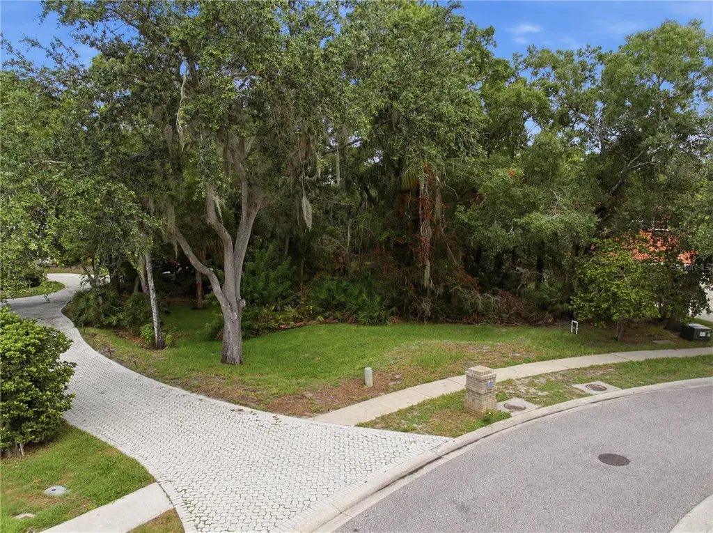 1332 Preservation Way Oldsmar FL 34677