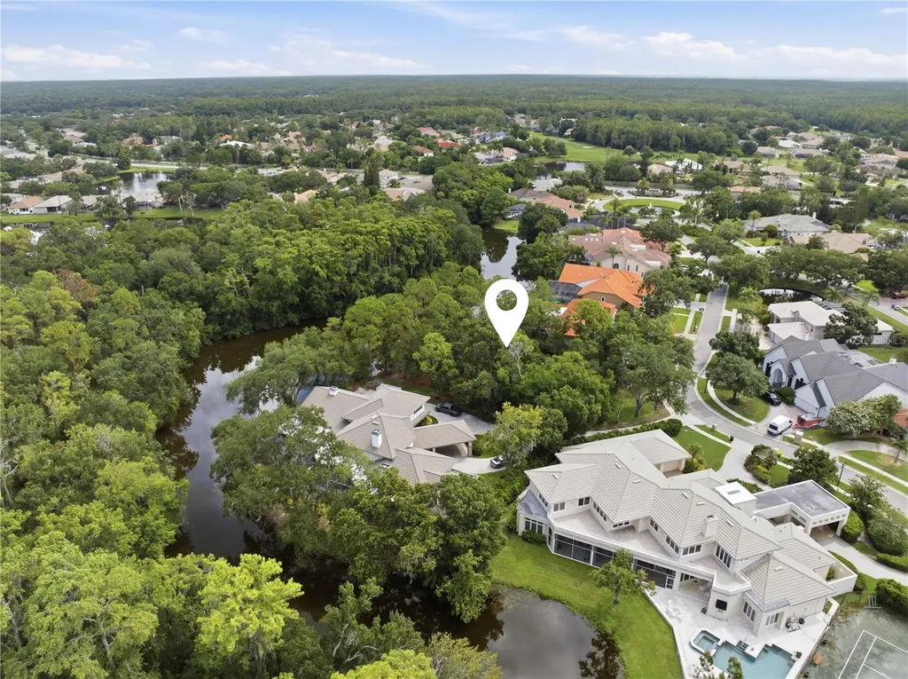 1332 Preservation Way Oldsmar FL 34677