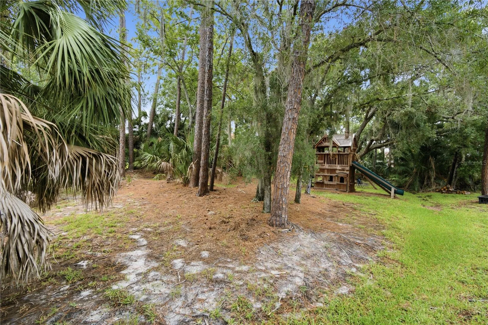 1332 Preservation Way Oldsmar FL 34677