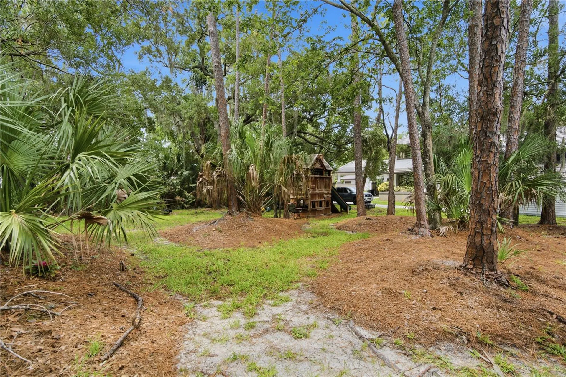 1332 Preservation Way Oldsmar FL 34677