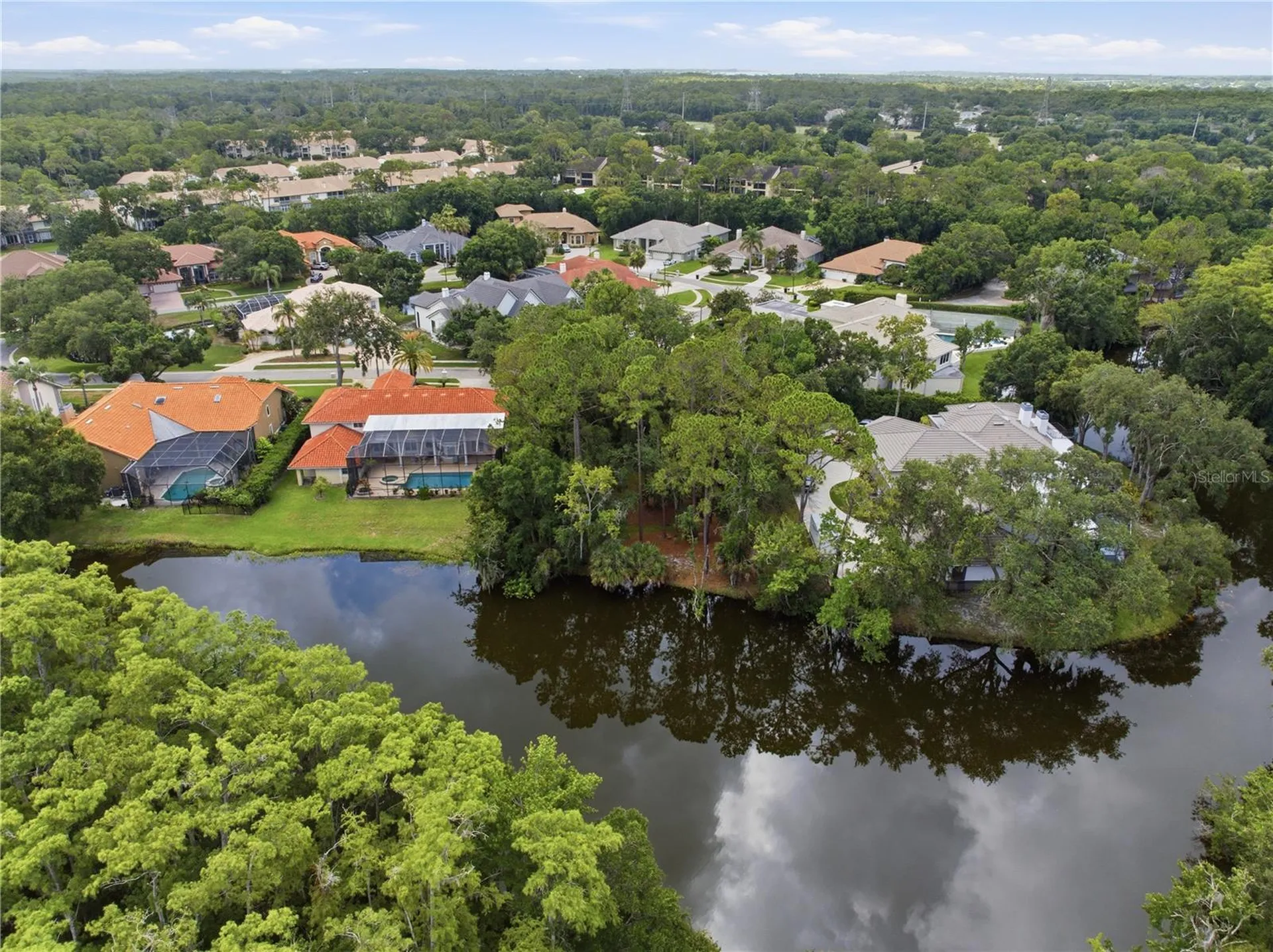 1332 Preservation Way Oldsmar FL 34677